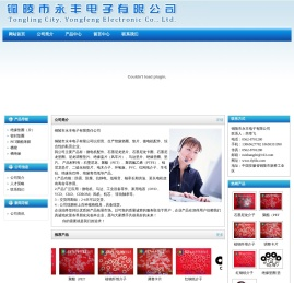 铜陵市永丰电子有限公司