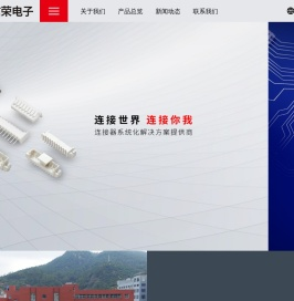 浙江信荣电子有限公司