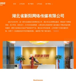 湖北省新阳网络传媒有限公司