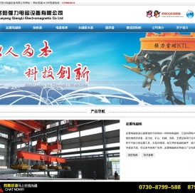 岳阳强力电磁设备有限公司