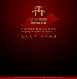 广东大明钢铁实业有限公司