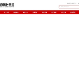 江西东升集团