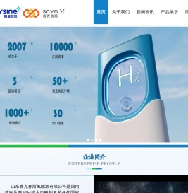 山东赛克赛斯氢能源有限公司