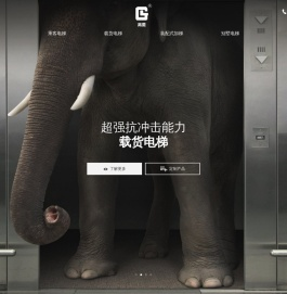 高菱电梯