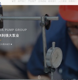 石家庄强大泵业集团有限责任公司
