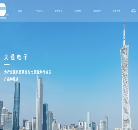 广州市番禺区大通电子有限公司