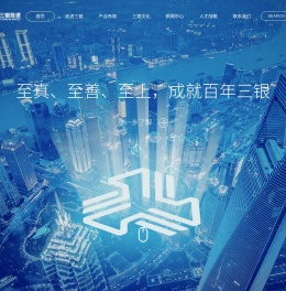 上海三银投资管理有限公司