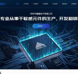 深圳市嵩隆电子有限公司