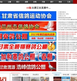 甘肃信鸽网