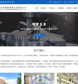 欢迎光临东莞市扬振精密五金有限公司官网