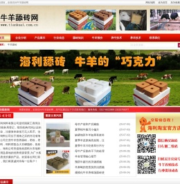 舔块