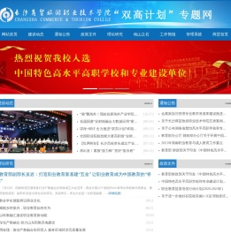 双高计划校建设专题
