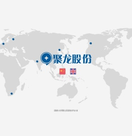 聚龙股份有限公司