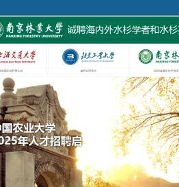 留学人才网