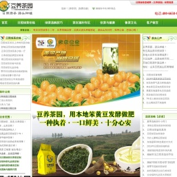 日照绿茶
