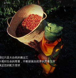 ZAHRA飒赫拉国际贸易