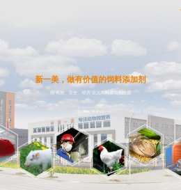 绵阳市新一美化工有限公司