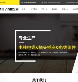 国标插头