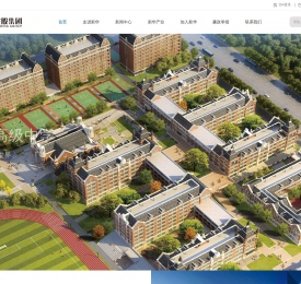 新华控股集团