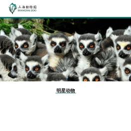 上海动物园官网