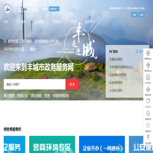 丰城市政务服务网