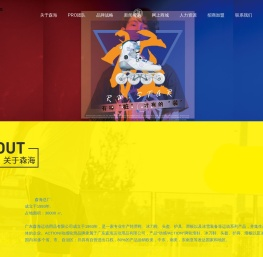 广东森海运动用品有限公司
