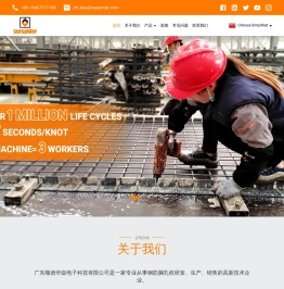 广东顺德华焱电子科技有限公司
