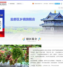 张庄街道政务服务网