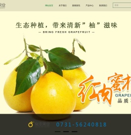 泉龙果业