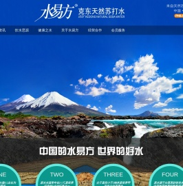 大连水易方科技发展有限公司