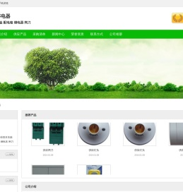 山东临沂麦莎电器