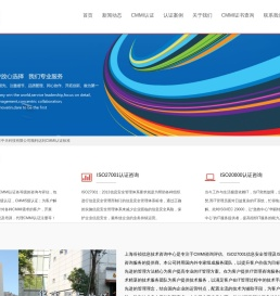更专业的CMMI