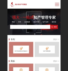 强大知识产权集团