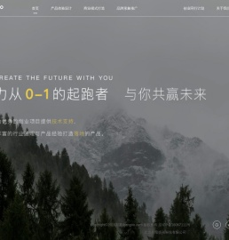 邦果技术VC