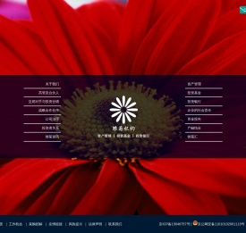雏菊机构