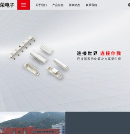 浙江信荣电子有限公司
