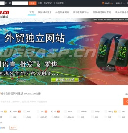 跨境电商独立站