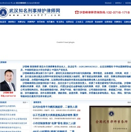 武汉刑事律师