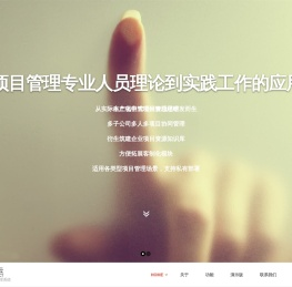 冰灯项目管理系统