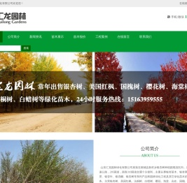 银杏树