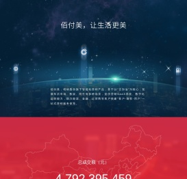 佰付美