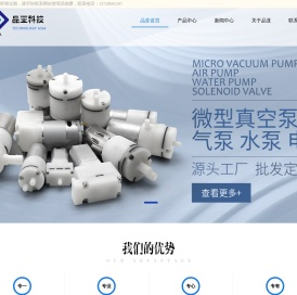 微型气泵