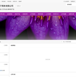 义乌全球分销网