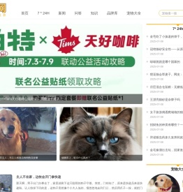 宠物网