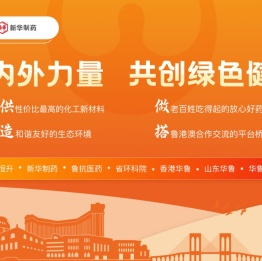 山东新华制药股份有限公司