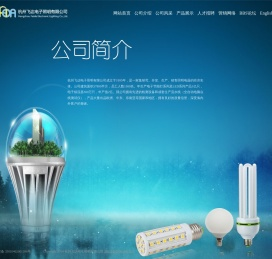 杭州飞达电子照明有限公司