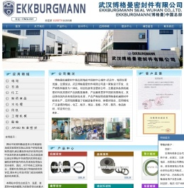 01博格曼密封件中国总部提供原装进口EKKBURGMANN博格曼机械密封件CNJOHNCRANE约瀚克兰密封WUHAN