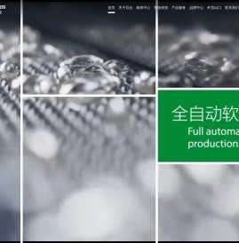 威海百合生物技术股份有限公司