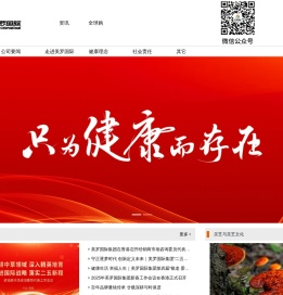 美罗国际
