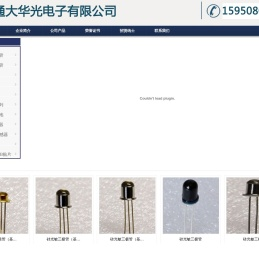 南通市大华光电子有限公司